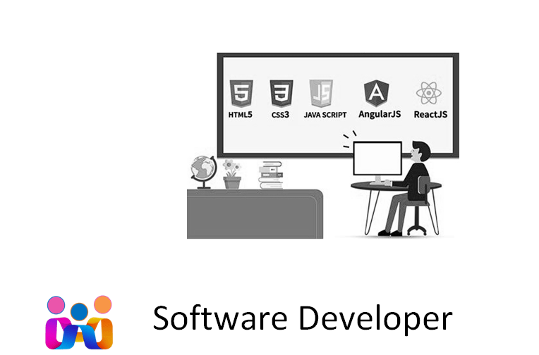 Software Developer